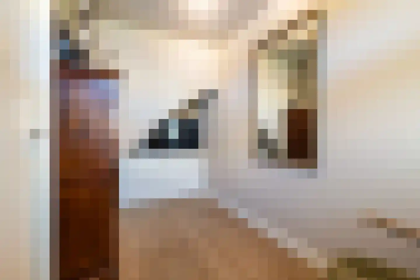 Andersenhof 36 Woerden thumbnail 33