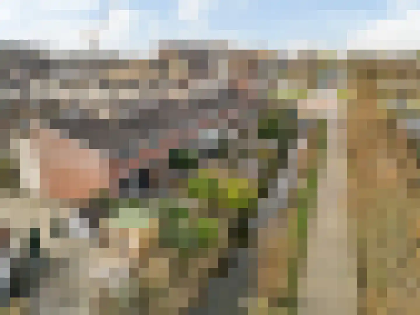 Andersenhof 4 Woerden thumbnail 33