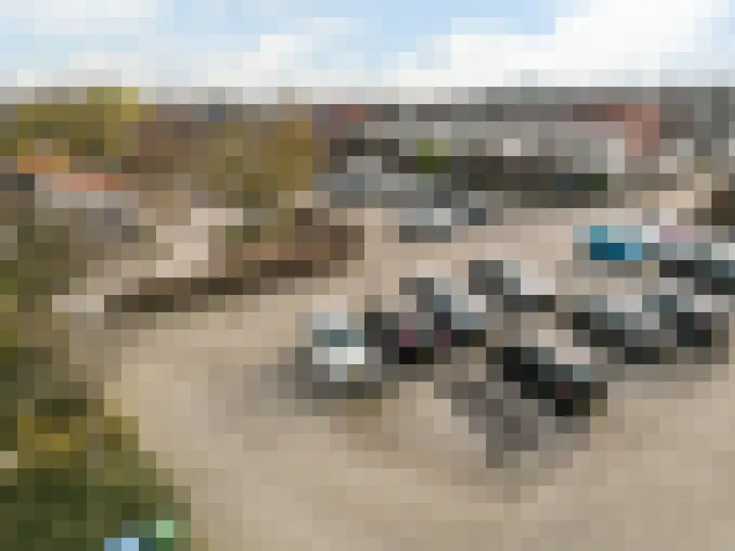 Andersenhof 4 Woerden thumbnail 38