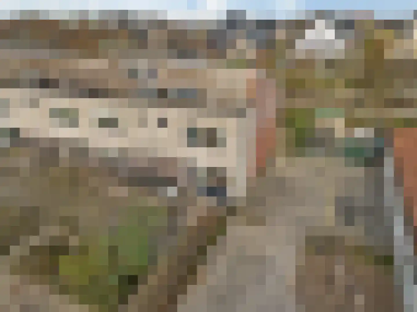 Andersenhof 4 Woerden thumbnail 5