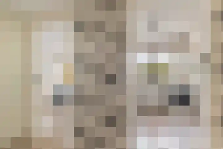 Andersensingel 168 Amsterdam thumbnail 10