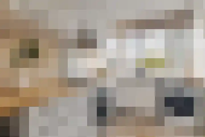 Andersensingel 168 Amsterdam thumbnail 11