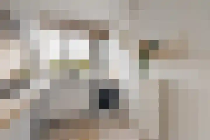 Andersensingel 168 Amsterdam thumbnail 12