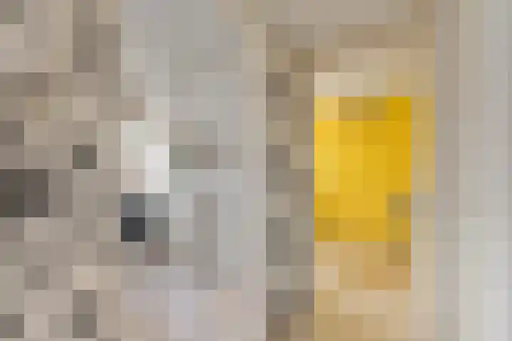 Andersensingel 168 Amsterdam thumbnail 14