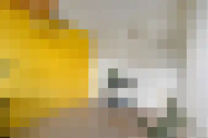 Andersensingel 168 Amsterdam thumbnail 17