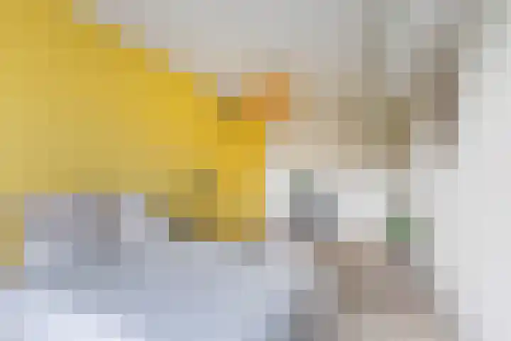 Andersensingel 168 Amsterdam thumbnail 18