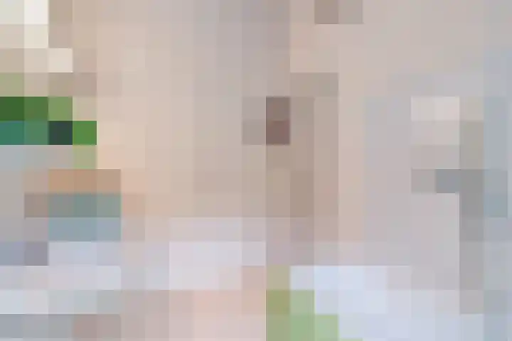 Andersensingel 168 Amsterdam thumbnail 25