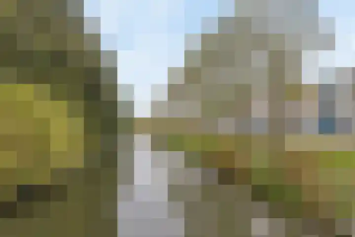 Andersensingel 168 Amsterdam thumbnail 34