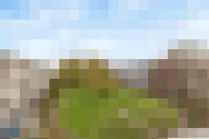 Andersensingel 168 Amsterdam thumbnail 9