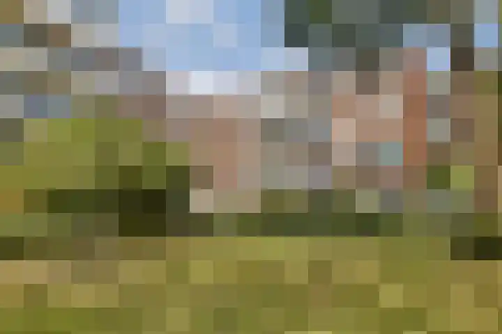 Andersensingel 88 Amsterdam thumbnail 12