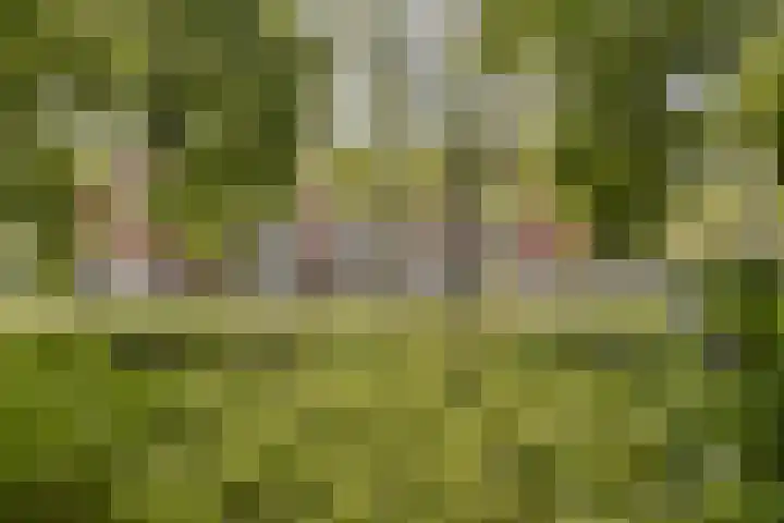 Andersensingel 88 Amsterdam thumbnail 22