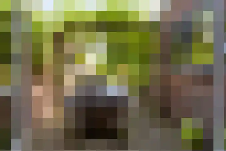 Andersensingel 88 Amsterdam thumbnail 24