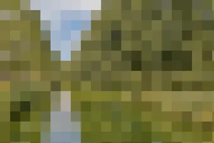 Andersensingel 88 Amsterdam thumbnail 24