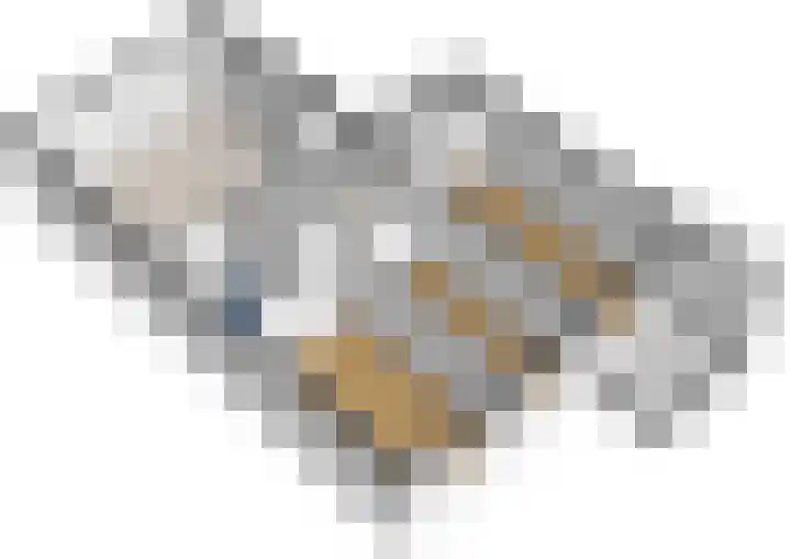 Andersensingel 88 Amsterdam thumbnail 26