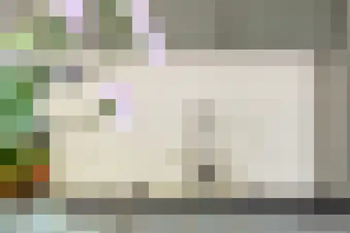 Andersensingel 88 Amsterdam thumbnail 5