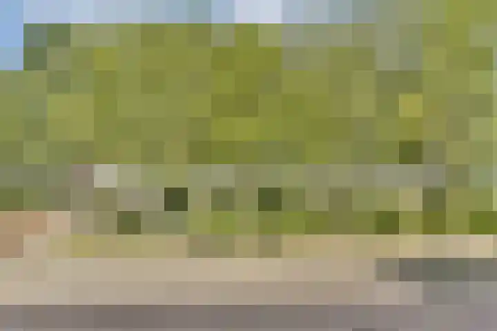 Andersensingel 88 Amsterdam thumbnail 7