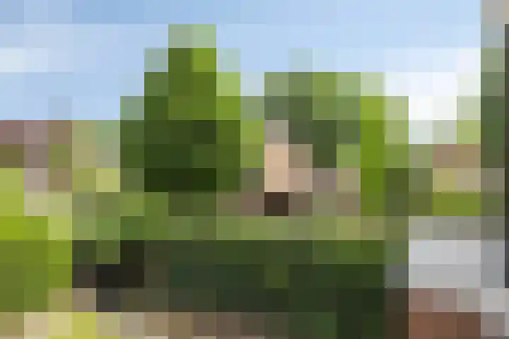 Andersonstraat 22 Losser thumbnail 25