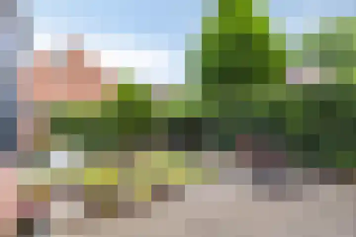 Andersonstraat 22 Losser thumbnail 35