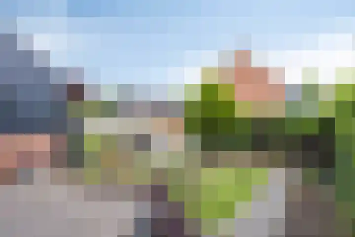 Andersonstraat 22 Losser thumbnail 36