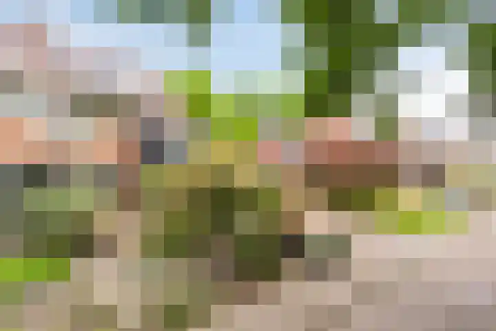 Andersonstraat 22 Losser thumbnail 4