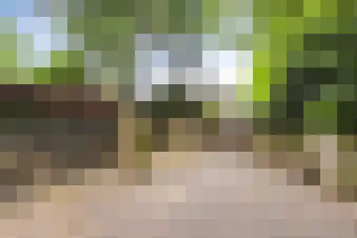 Andersonstraat 22 Losser thumbnail 42