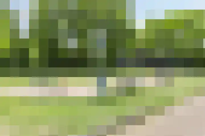 Andersonstraat 22 Losser thumbnail 43