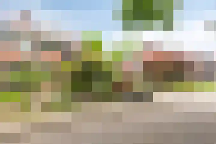 Andersonstraat 22 Losser thumbnail 44