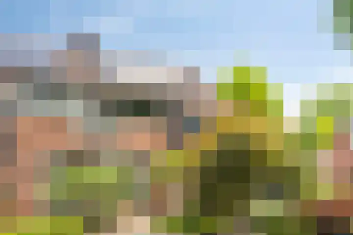 Andersonstraat 22 Losser thumbnail 46