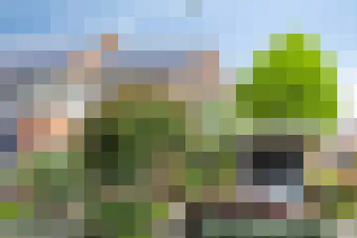 Andersonstraat 22 Losser thumbnail 5
