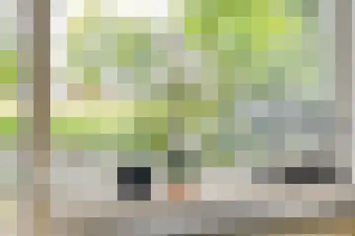 Andersonstraat 22 Losser thumbnail 8