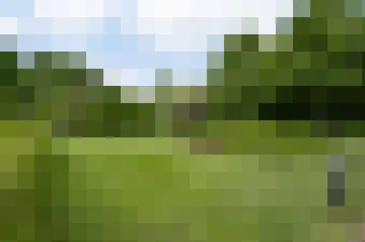 Andersonweg 38 Roermond thumbnail 29