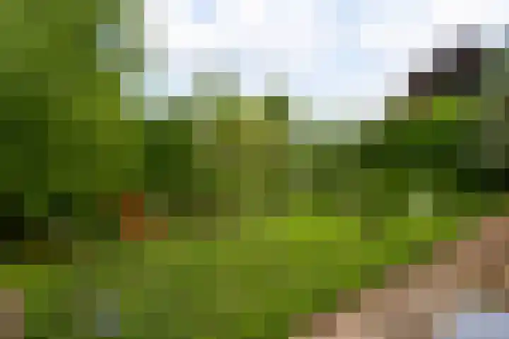 Andersonweg 38 Roermond thumbnail 31