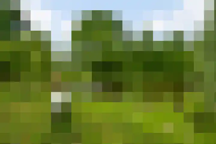 Andersonweg 38 Roermond thumbnail 32