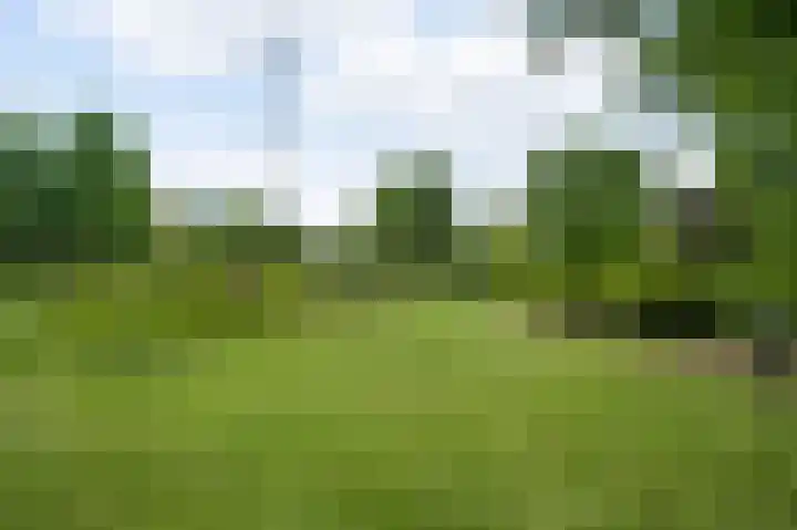 Andersonweg 38 Roermond thumbnail 34