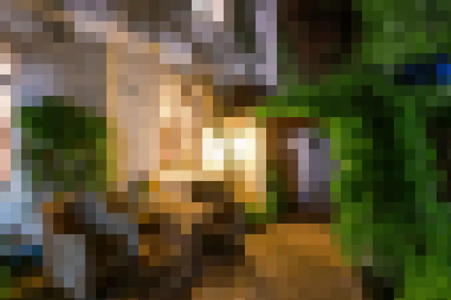 Andersonweg 9 Roermond thumbnail 31