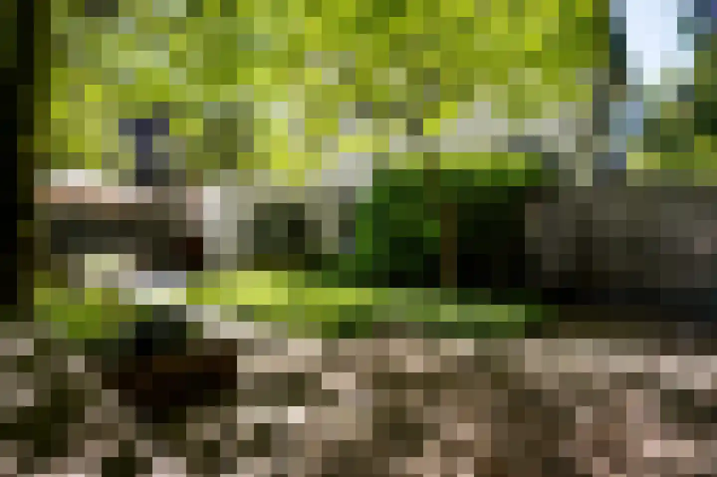Andersonweg 9 Roermond thumbnail 38