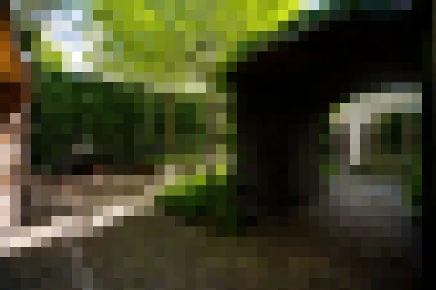 Andersonweg 9 Roermond thumbnail 39