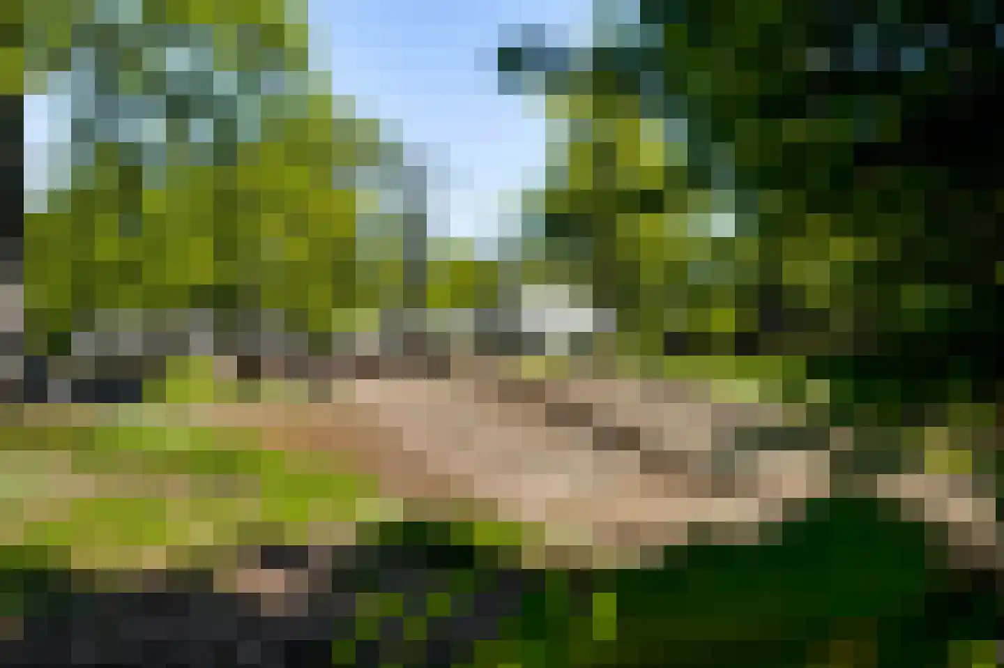 Andersonweg 9 Roermond thumbnail 62