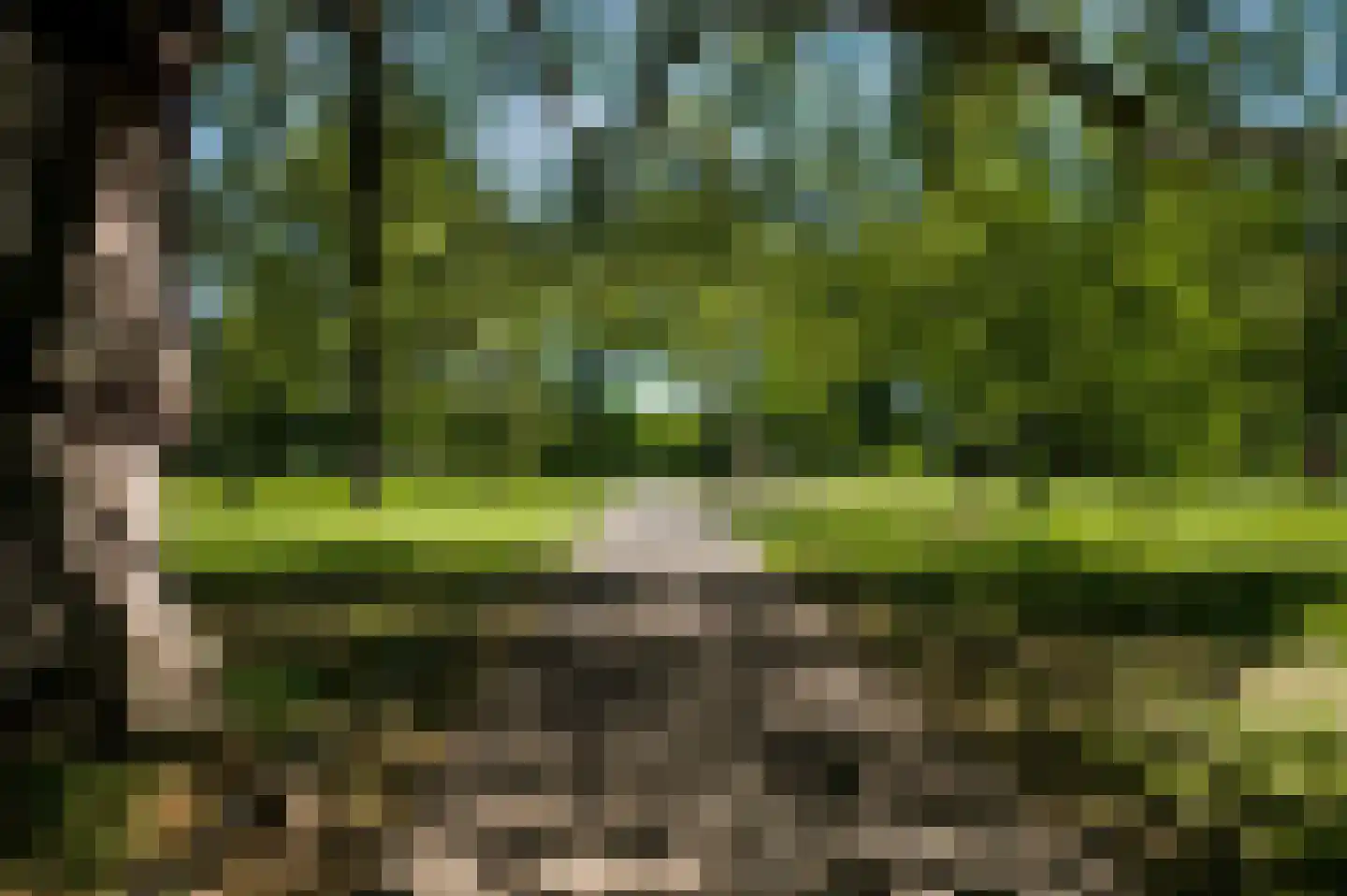 Andersonweg 9 Roermond thumbnail 63