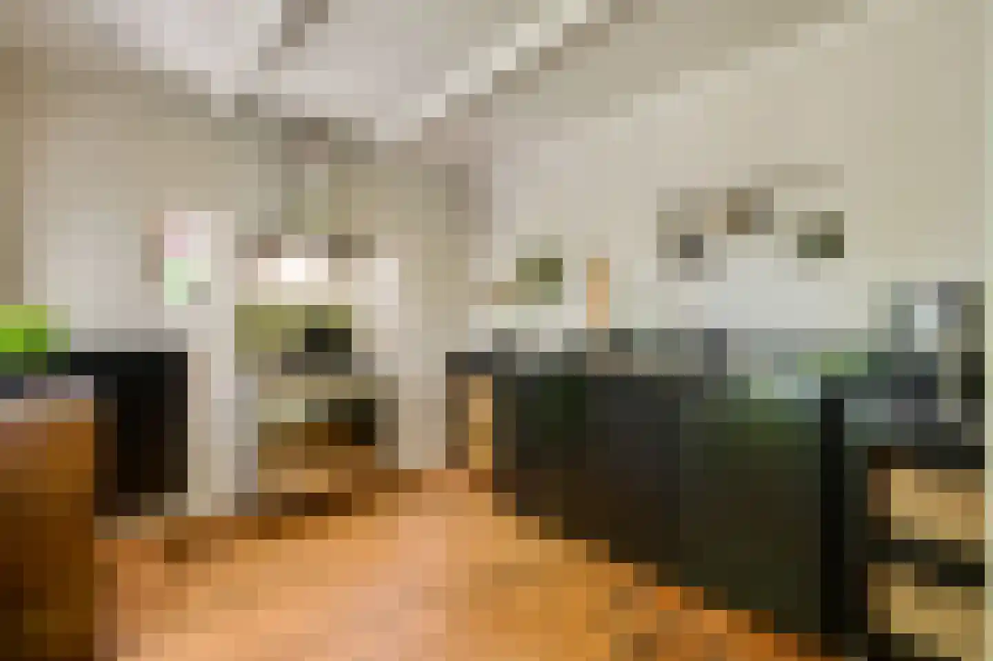 Andersonweg 9 Roermond thumbnail 7