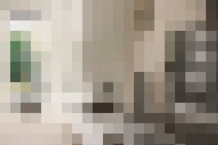Anderstein 9 Vleuten thumbnail 10