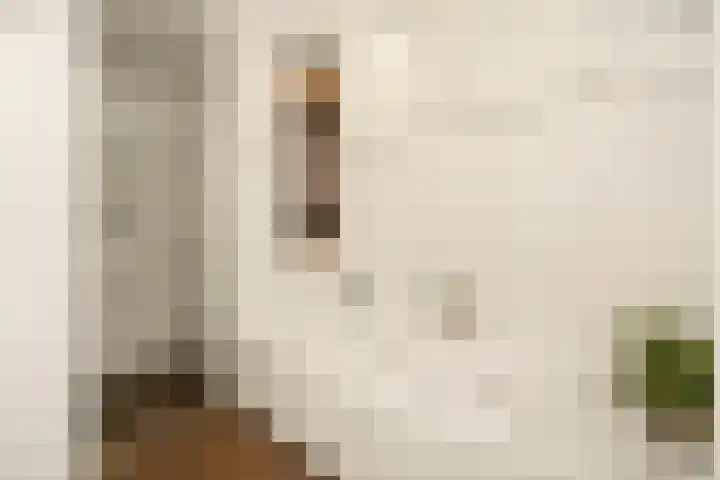 Anderstein 9 Vleuten thumbnail 26