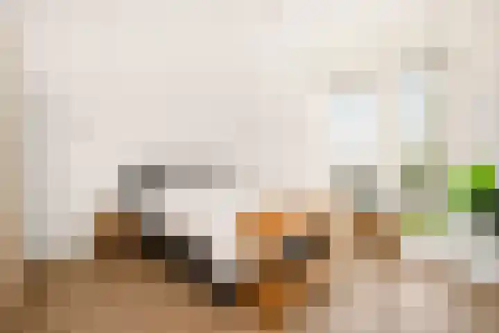 Anderstein 9 Vleuten thumbnail 34