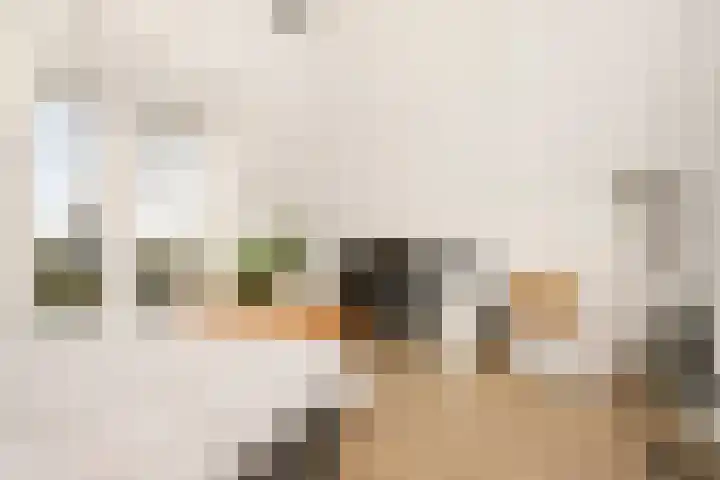 Anderstein 9 Vleuten thumbnail 36