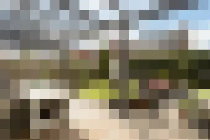 Anderstein 9 Vleuten thumbnail 40