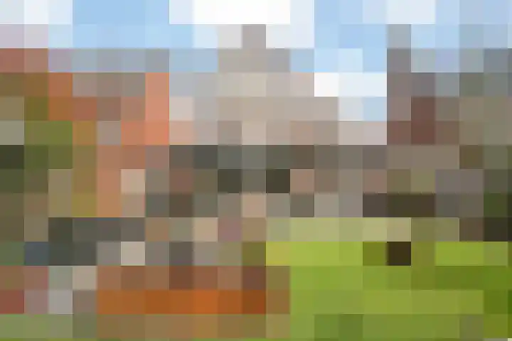 Anderstein 9 Vleuten thumbnail 42