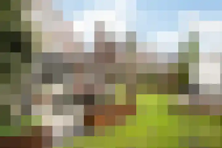 Anderstein 9 Vleuten thumbnail 43