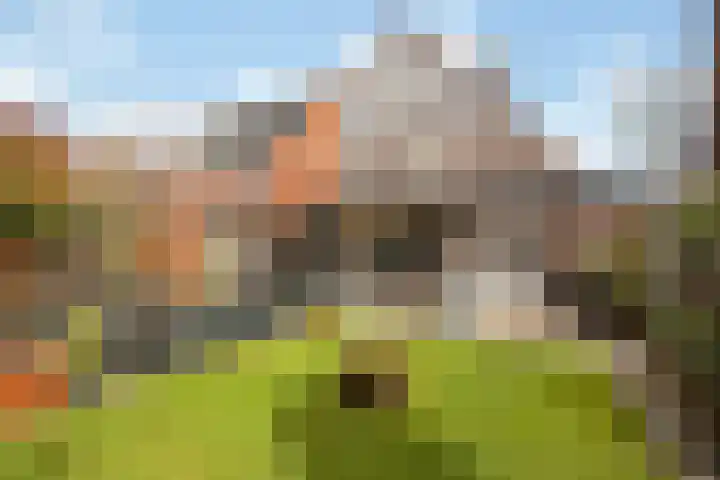 Anderstein 9 Vleuten thumbnail 46