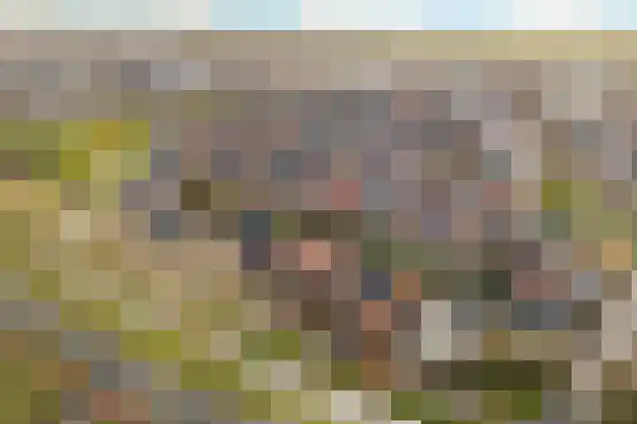 Anderstein 9 Vleuten thumbnail 47