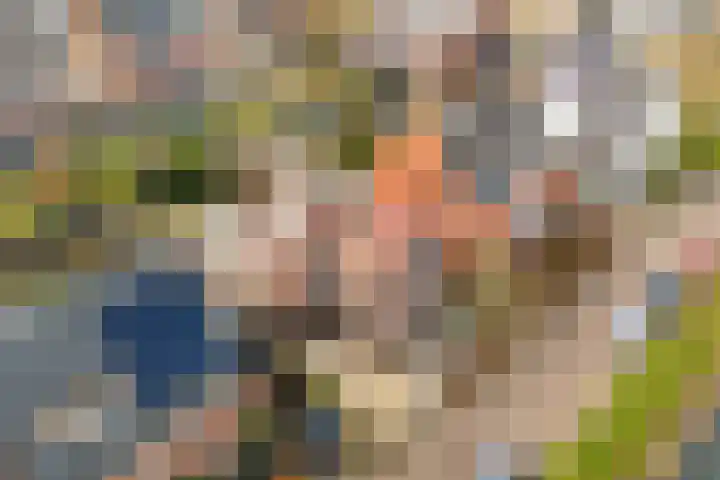 Anderstein 9 Vleuten thumbnail 48